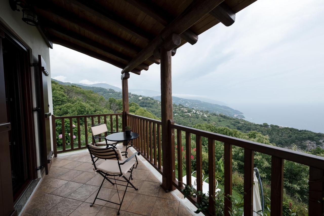 Stilvi Hotel Tsagkarada Buitenkant foto